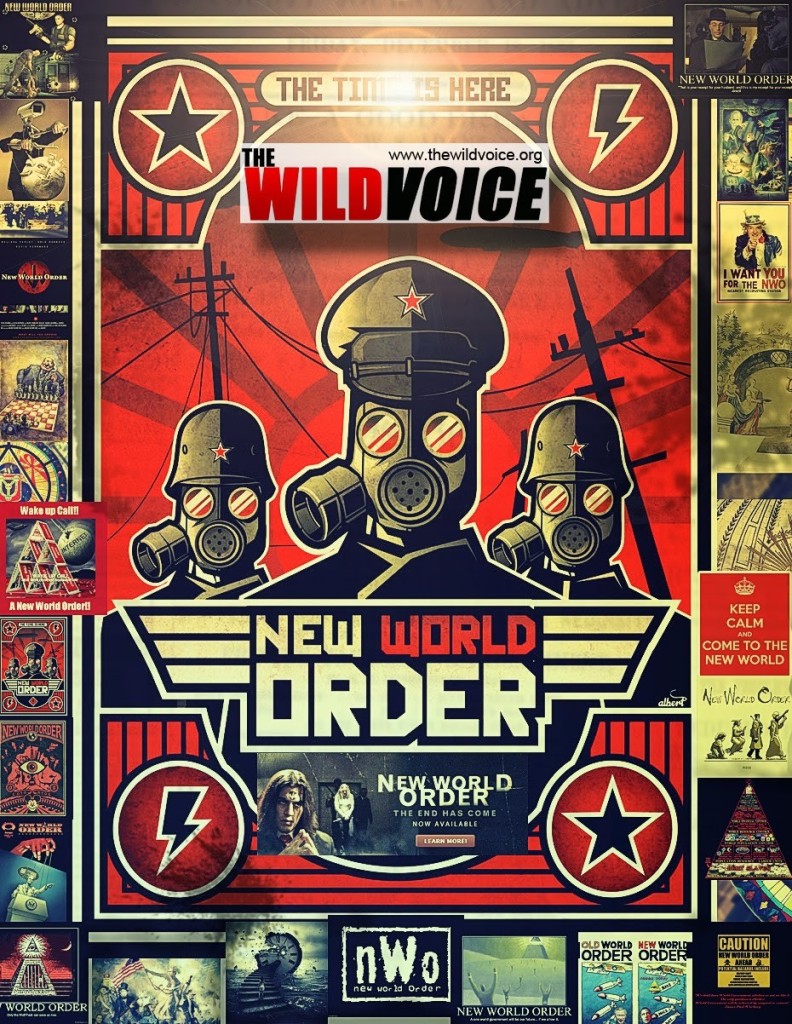 New World Order poster