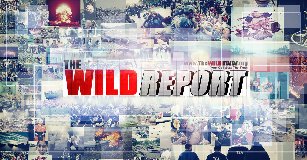 the wild report