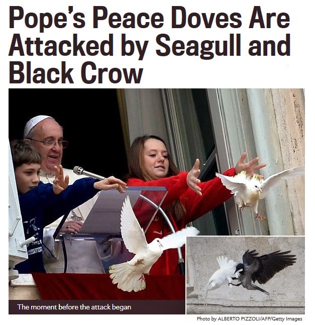 doves attacked pope francis