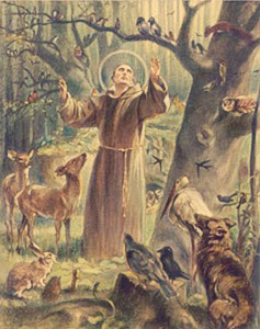 Saint Francis - humility