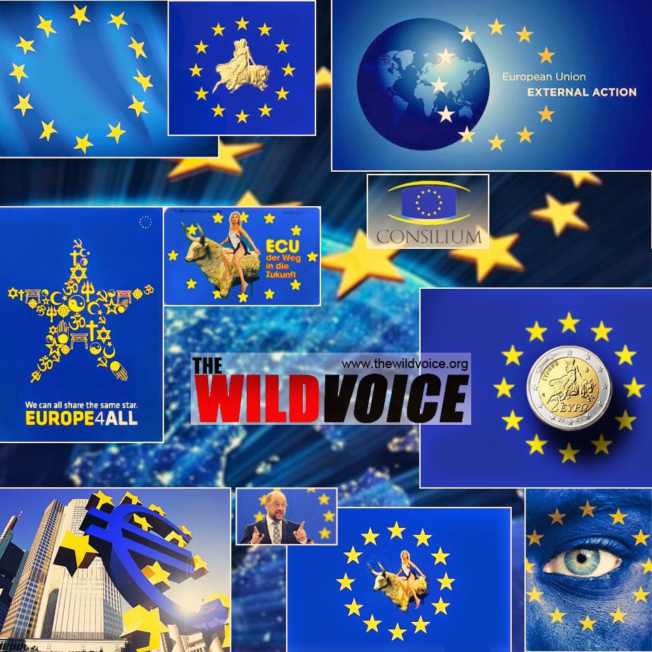 the wild voice - european union- blue