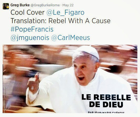 the wild voice pope francis the rebel of god