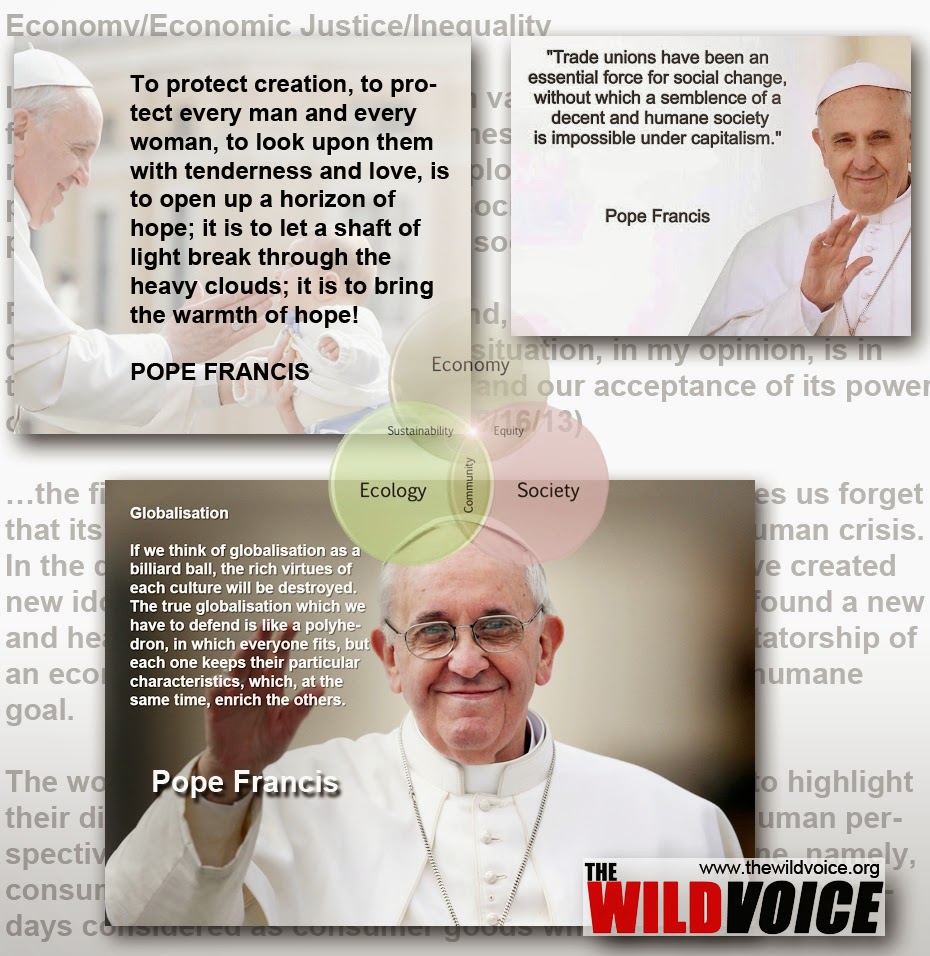 pope francis quotes