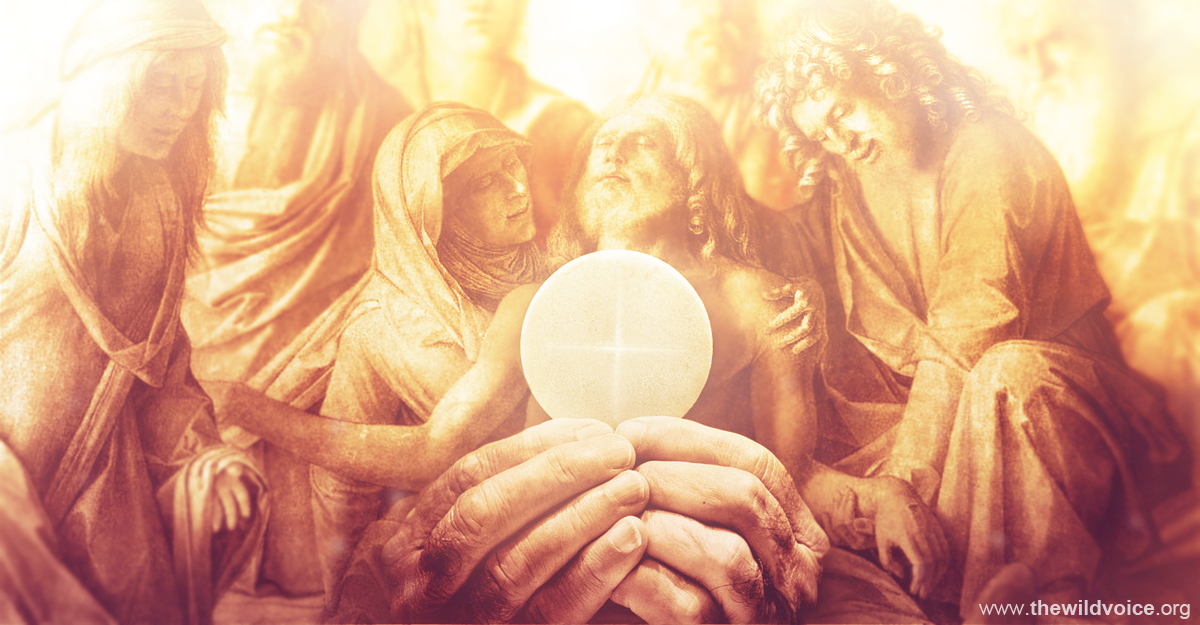 Eucharist, Tony, Palmer, Pope, Francis, False, Prophet, The, Wild, Voice, Maria, Divine, Mercy, Jesus, Christ, God, Catholic, Church, Synod, Abomination, Desolation, brother, masonry, masonic, freemasonry, change